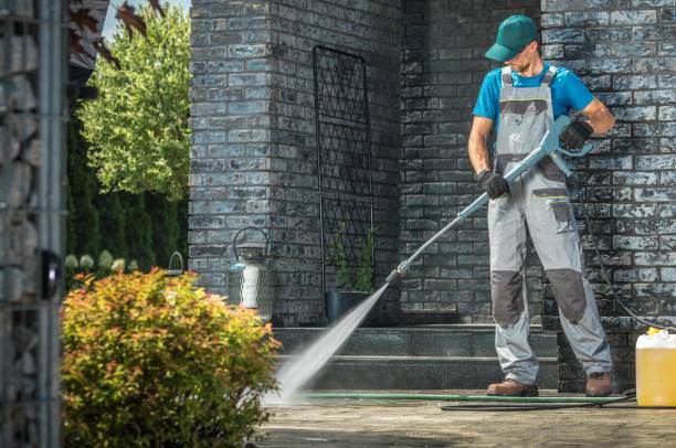 Best Gutter Cleaning  in The Meadows, FL