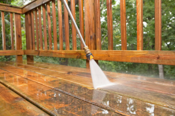 Best Driveway Pressure Washing  in The Meadows, FL